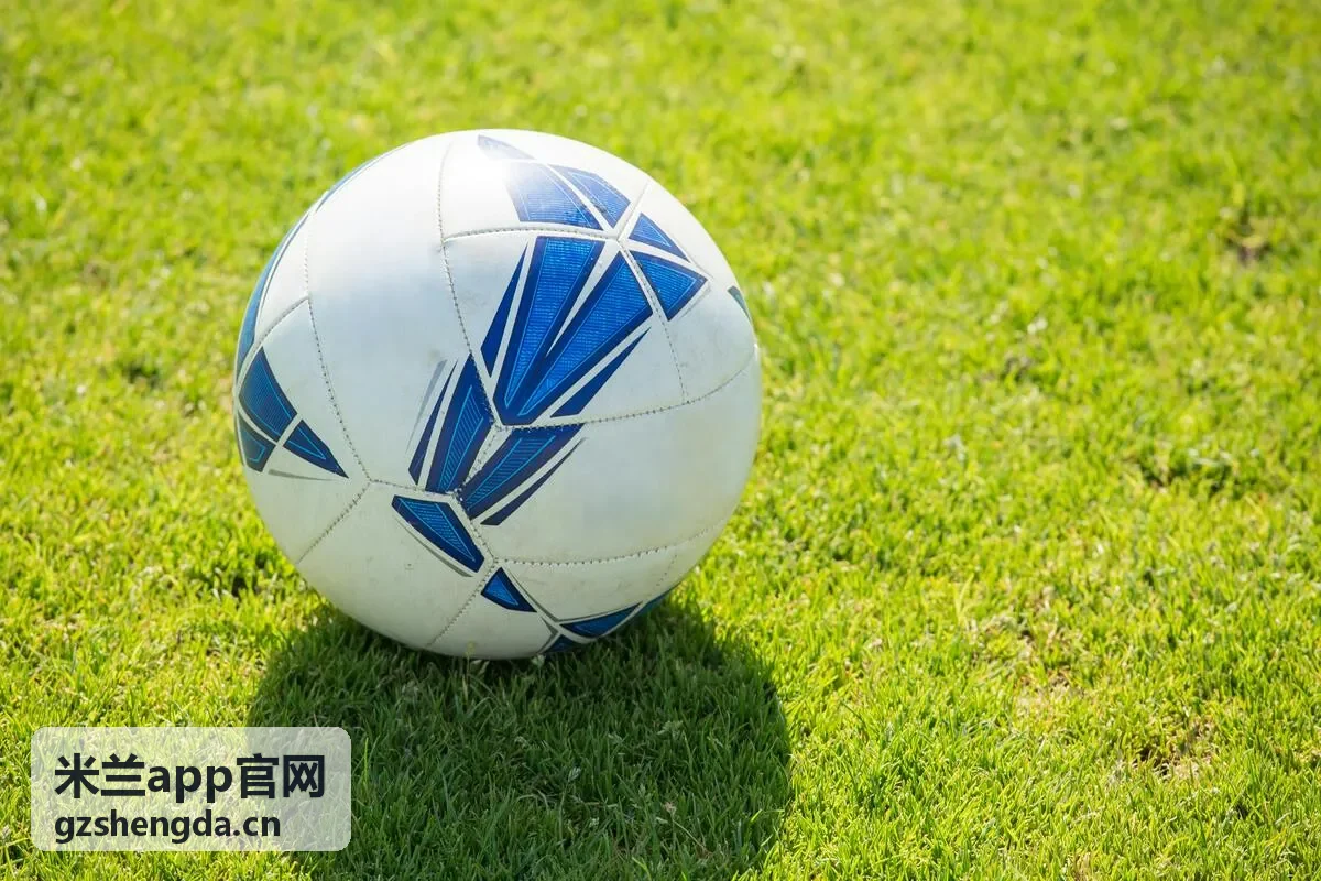 米兰APP官网企业版套餐与部署方案