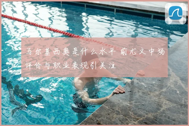 马尔基西奥是什么水平 前尤文中场评价与职业表现引关注
