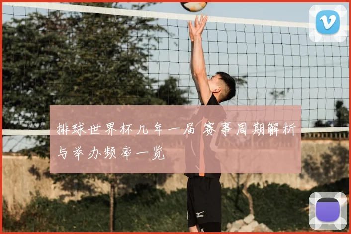 排球世界杯几年一届 赛事周期解析与举办频率一览