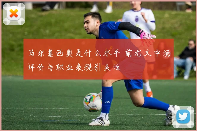 马尔基西奥是什么水平 前尤文中场评价与职业表现引关注
