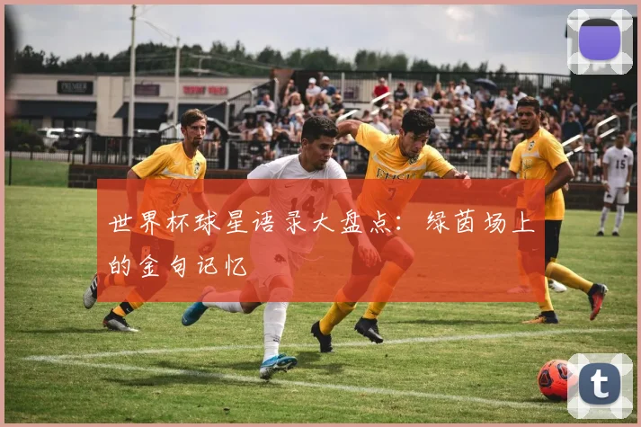 世界杯球星语录大盘点:绿茵场上的金句记忆