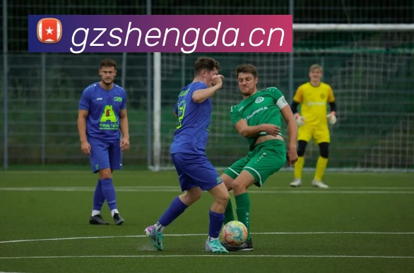 多媒体互动体验